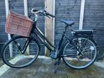Gazelle Miss Grace Bosch active line - 54cm, Fietsen en Brommers, Elektrische fietsen, Ophalen, Zo goed als nieuw, 51 tot 55 cm