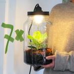 7 x terrarium pot / vaas voor DIY planten mos ecosysteem, Huis en Inrichting, Glas, Gebruikt, Ophalen of Verzenden