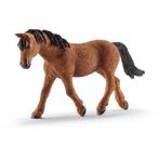 Schleich 13780 Bashir curly merrie, dierfiguur, Ophalen of Verzenden, Zo goed als nieuw, Paard, Beeldje of Figuurtje