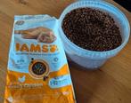 Iams kittenvoer, Dieren en Toebehoren, Ophalen, Kat