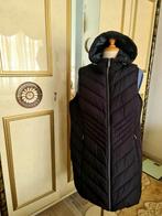 Michael KORS nieuw Bodywarmers, Ophalen of Verzenden, Nieuw, Maat 46/48 (XL) of groter, Zwart