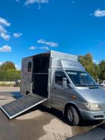Paardenwagen Mercedez sprinter/ B-rijbewijs- 2 paarden, Ophalen, Gebruikt, Overige materialen, 2-paards trailer
