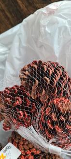 Kerstdecoratie dennenappels, Ophalen of Verzenden, Nieuw