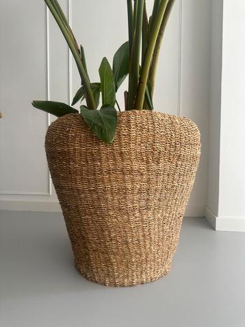 Grote XXL rieten pot/plantenamand (waterdicht) beschikbaar voor biedingen