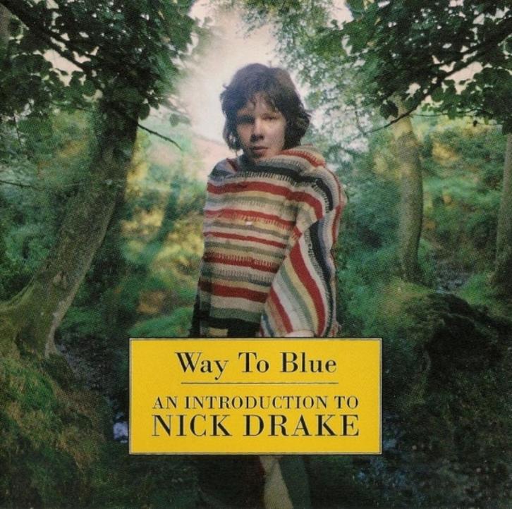 CD Way To Blue - An Introduction To Nick Drake, Cd's en Dvd's, Cd's | Pop, Zo goed als nieuw, Verzenden