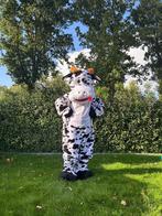 Te Huur: Koe-kostuum, Mascotte, Verkleedkleding, Ophalen of Verzenden, Zo goed als nieuw, Overige