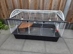 Knaagdierenkooi Casita 100 + ren, Kooi, Zo goed als nieuw, Cavia, 75 tot 110 cm