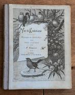 Oud rijmpjes en Versjes boek door P Louwerse jaren 50, Ophalen of Verzenden