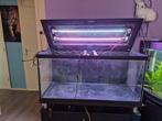 180 liter aquarium met kast  te koop, Ophalen, Gebruikt, Leeg aquarium