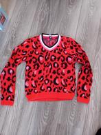 Trui 158/164, Kinderen en Baby's, Kinderkleding | Maat 158, Ophalen of Verzenden, Zo goed als nieuw, Jongen, Trui of Vest