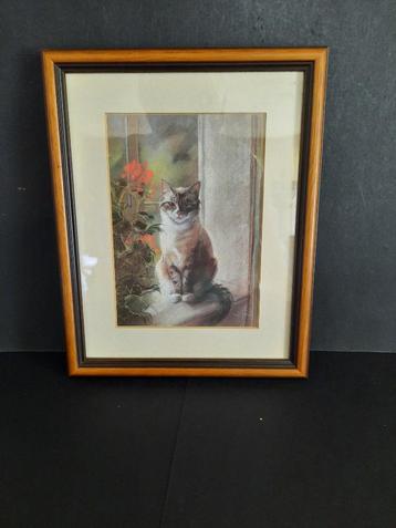 Poezen plaatje Ingelijst achter glas  beschikbaar voor biedingen