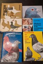 Diverse boeken over duiven John Lambrechts Spruijt, Postduif, Meerdere dieren