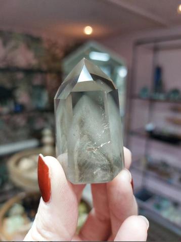 Rookkwarts fantoom beschikbaar voor biedingen