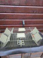 Vangkooien, Ophalen of Verzenden, Minder dan 75 cm, Kooi, Minder dan 60 cm
