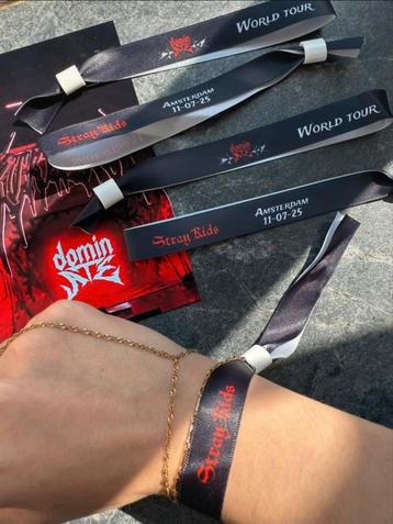 Stray kids dominate wristband amsterdam beschikbaar voor biedingen