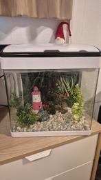 Superfish Aquarium Panorama 35 Led - Aquaria - 38x26.5x39.5, Dieren en Toebehoren, Ophalen, Zo goed als nieuw, Leeg aquarium