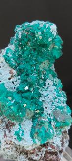 Dioptaas, Ophalen of Verzenden