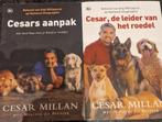 Caesar Millan boeken, Boeken, Gelezen, Honden, Ophalen of Verzenden