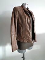 Colyn vegan leren jasje, maat M/L Nieuw met kaartjes, Maat 38/40 (M), Bruin, Verzenden, Nieuw