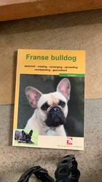 Franse bulldog, Ophalen of Verzenden