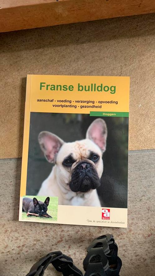 Franse bulldog, Boeken, Dieren en Huisdieren, Ophalen of Verzenden