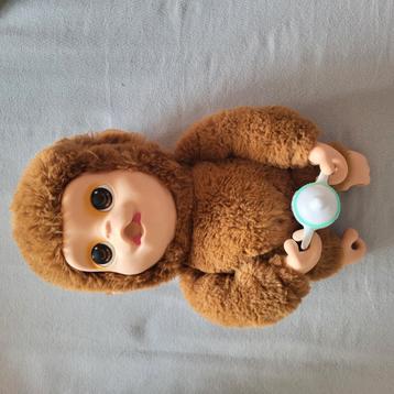 Baby monkey beschikbaar voor biedingen