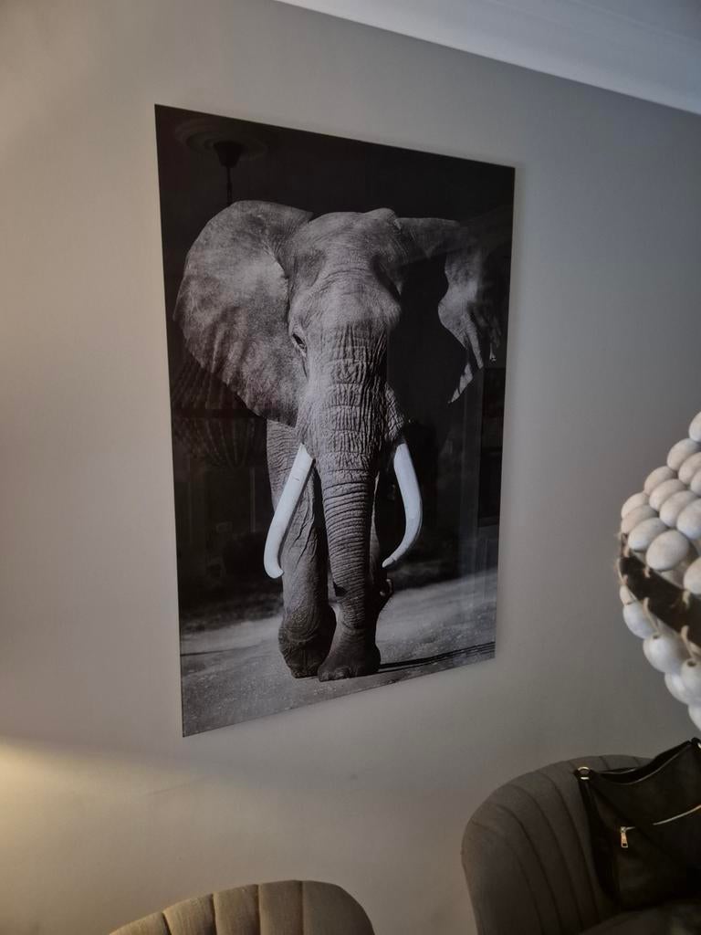 Glasschilderij Olifant - 120x80cm - Nieuw, Ophalen, Zo goed als nieuw, Schilderij, 100 tot 125 cm