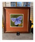 2 klassieke lijst bruin met vlinder rups, 35x35 cm, pr.p.st., Huis en Inrichting, Woonaccessoires | Lijsten, Ophalen of Verzenden