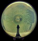 Copier Leerdam tincraquelé schaal groen, Leerdam Copier CL., Ophalen of Verzenden