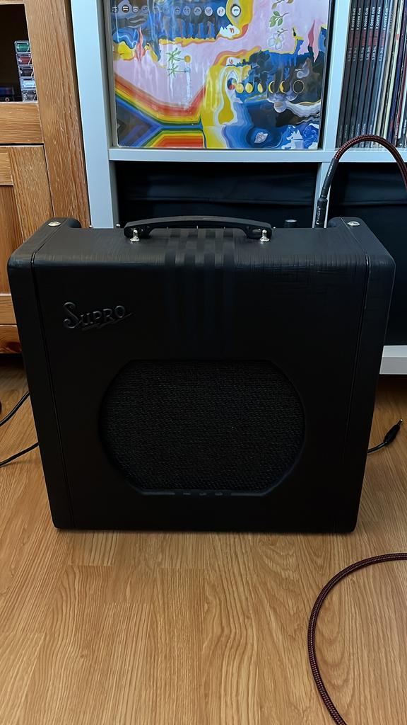 Supro Delta King 12 Buizenversterker, Muziek en Instrumenten, Versterkers | Bas en Gitaar, Nieuw, Gitaar, Minder dan 50 watt, Ophalen