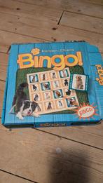 Honden Bingo - Leuk en Leerzaam!, Ophalen of Verzenden, Zo goed als nieuw, Amigo, Reisspel