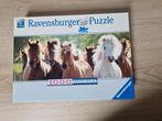 Paardenpuzzel, Ophalen of Verzenden, Meer dan 50 stukjes, Zo goed als nieuw, 6 jaar of ouder