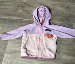 Patagonia vest micro d snap-t jacket, Gebruikt, Ophalen of Verzenden, Patagonia, Truitje of Vestje