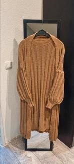 Vest en jurk XL, Bruin, Maat 46/48 (XL) of groter, Ophalen of Verzenden, Gedragen