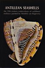 Coomans - Antillean seashells, Ophalen, Zo goed als nieuw