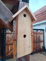 Vogelflat voor mussen van douglas hout, Ophalen of Verzenden, Nieuw