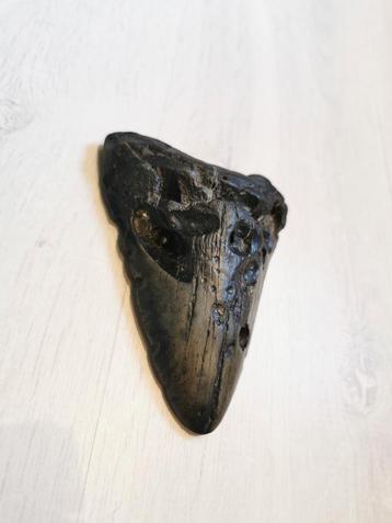 Megalodon tand fossiel 11 cm