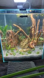 Aquael aquarium, Dieren en Toebehoren, Vissen | Aquaria en Toebehoren, Ophalen, Leeg aquarium
