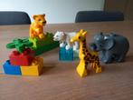 LEGO Duplo baby dierentuin dieren, Kinderen en Baby's, Speelgoed | Duplo en Lego, Ophalen of Verzenden, Zo goed als nieuw, Duplo