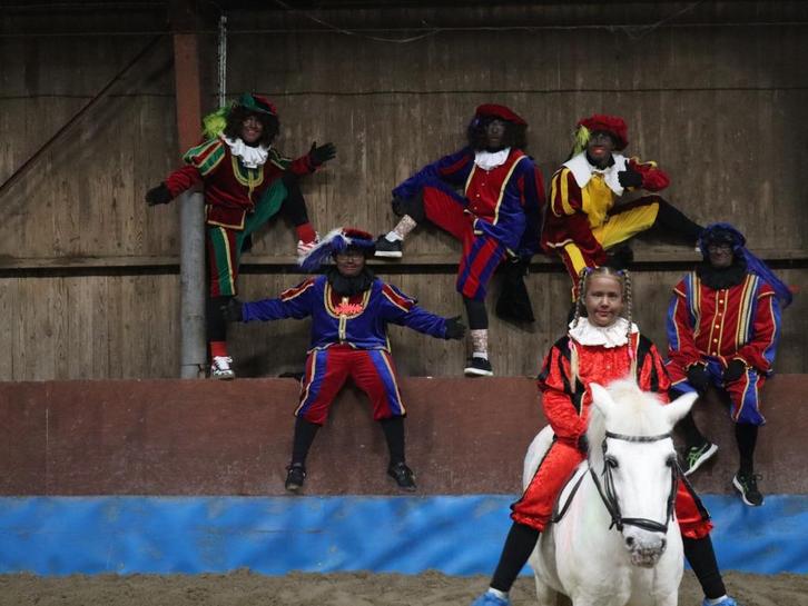 3 pieten op huisbezoek, Diversen, Sinterklaas, Gebruikt, Ophalen of Verzenden