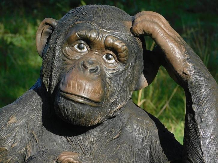 Beeld Aap met Jong - XXL - Polystone - Gedetailleerd, Antiek en Kunst, Kunst | Beelden en Houtsnijwerken, Ophalen of Verzenden