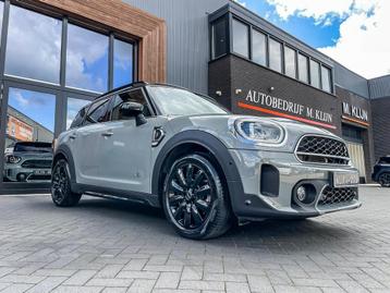 Mini Mini Countryman 2.0 Cooper S ALL4 F1 aut 178pk Nardo/Ca beschikbaar voor biedingen