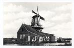 WESTZAAN - Molen - K. Tanger - Reproductie, Verzenden, Ongelopen, Noord-Holland