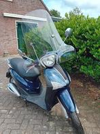 Piaggio Liberty, Scooter, Bedrijf, Piaggo, 50 cc