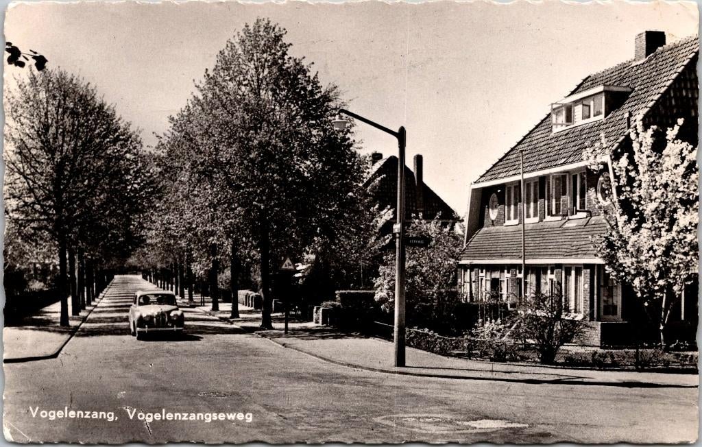Vogelenzang - Vogelenzangseweg (1955), Verzenden, 1940 tot 1960, Gelopen, Noord-Holland