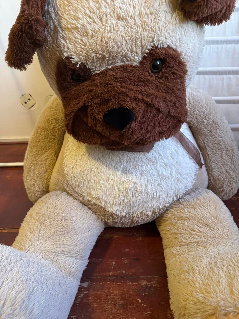 Grote knuffelbeer - Perfect om te knuffelen!, Ophalen, Beer, Zo goed als nieuw, Meerkleurig