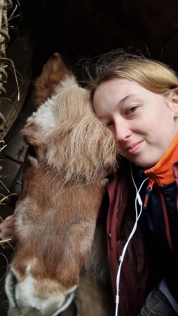 Gezocht: verzorg-/bijrijpony
Omgeving: Hilversum, Ophalen