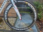 Mooie, goed onderhouden, Colnago CLX 2.0 Carbon Racefiets, 28 inch, Gebruikt, Carbon, Heren
