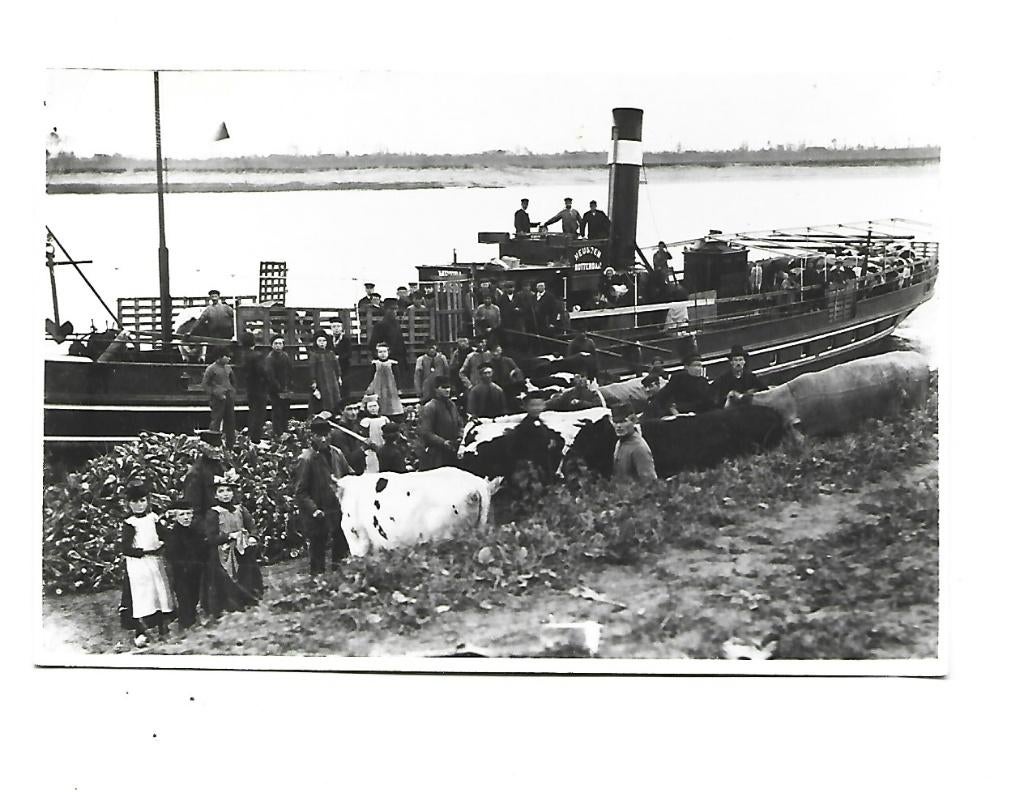 Onbekend, Gebruikt, Verzenden, 1980 tot heden, Foto