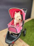 Hondenbuggy met lucht bandjes, Ophalen